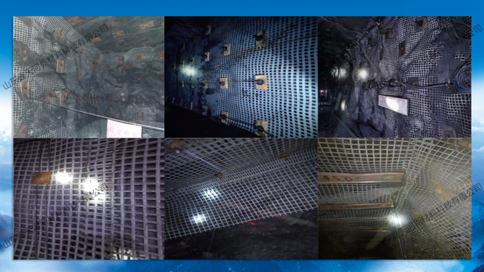 ���ԾW(w��ng)����(y��ng)�Ì�(sh��)��